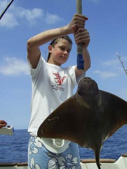 cownose ray Cavalier & Blue Marlin Sport Fishing Gran Canaria