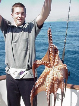 18/02 octopus Cavalier & Blue Marlin Sport Fishing Gran Canaria