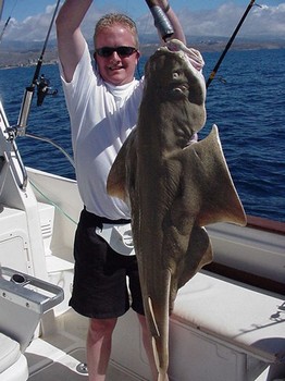 23/02 angel shark Cavalier & Blue Marlin Sport Fishing Gran Canaria