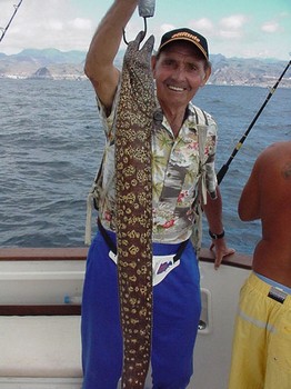 25/02 tiger moray Cavalier & Blue Marlin Sport Fishing Gran Canaria