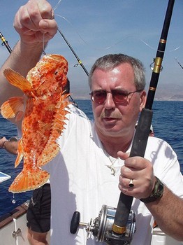 20/03 pez escorpión Cavalier & Blue Marlin Sport Fishing Gran Canaria