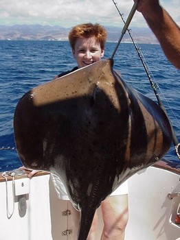 05/04 common stingray Cavalier & Blue Marlin Sport Fishing Gran Canaria