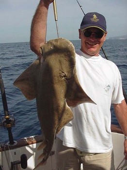 24/04 angel shark Cavalier & Blue Marlin Sport Fishing Gran Canaria