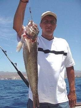 26/04 steaked weever Cavalier & Blue Marlin Sport Fishing Gran Canaria
