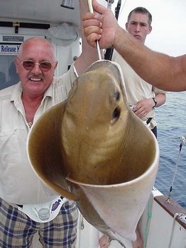 29/04 cownose ray Cavalier & Blue Marlin Sport Fishing Gran Canaria