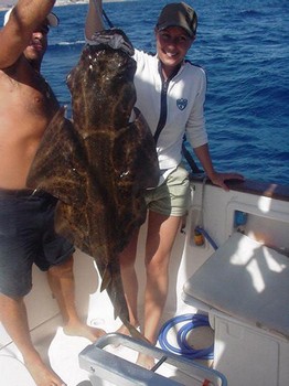18/06 angel shark Cavalier & Blue Marlin Sport Fishing Gran Canaria
