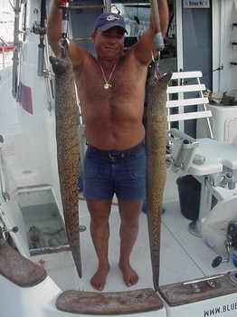 22/06 tiger moray Cavalier & Blue Marlin Sport Fishing Gran Canaria