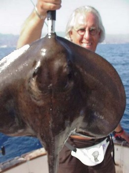 29/06 mantarraya cola dura Cavalier & Blue Marlin Sport Fishing Gran Canaria