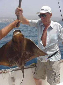 06/08 eagle ray Cavalier & Blue Marlin Sport Fishing Gran Canaria