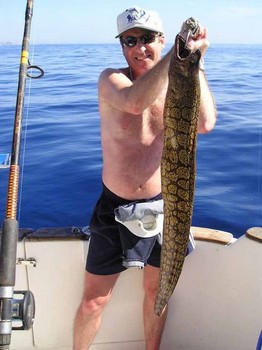 15/11 tiger moray Cavalier & Blue Marlin Sport Fishing Gran Canaria