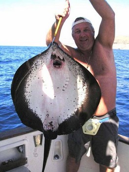 18/11 ringed stingray Cavalier & Blue Marlin Sport Fishing Gran Canaria