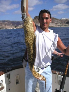 20/01 tiger moray Cavalier & Blue Marlin Sport Fishing Gran Canaria