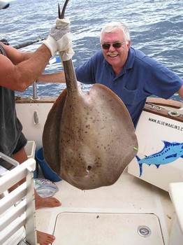 23/01 roughtail stingray Cavalier & Blue Marlin Sport Fishing Gran Canaria