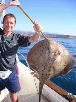 24/01 roughtail stingray Cavalier & Blue Marlin Sport Fishing Gran Canaria