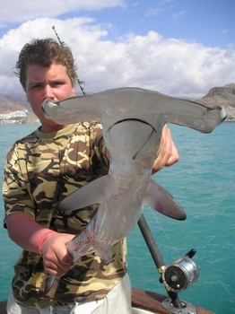 22/02 hammerhead shark Cavalier & Blue Marlin Sport Fishing Gran Canaria