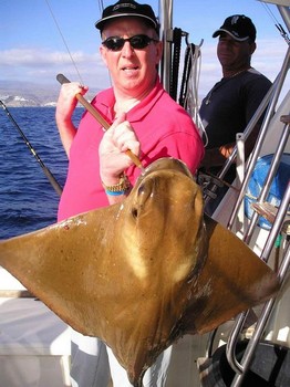 20/04 cownose ray Cavalier & Blue Marlin Sport Fishing Gran Canaria