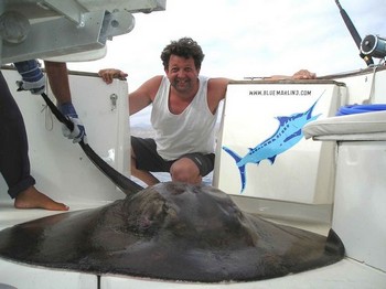 06/05 runder Stachelrochen Cavalier & Blue Marlin Sportfischen Gran Canaria