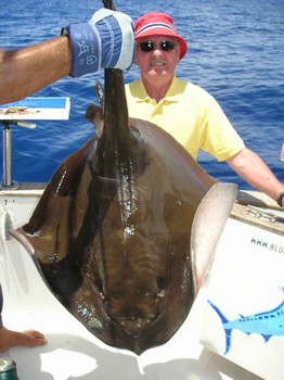 22/05 vanlig stingray Cavalier & Blue Marlin Sport Fishing Gran Canaria