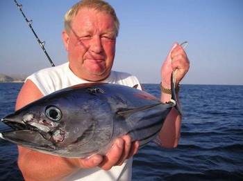 11/06 skipjack tonfisk Cavalier & Blue Marlin Sport Fishing Gran Canaria