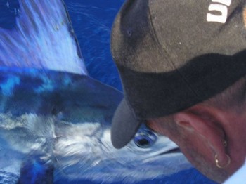 17/06 Speerfisch Cavalier & Blue Marlin Sportfischen Gran Canaria