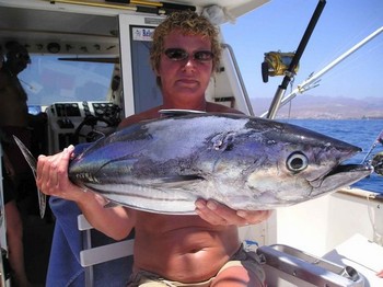 17/07 skipjack tonfisk Cavalier & Blue Marlin Sport Fishing Gran Canaria