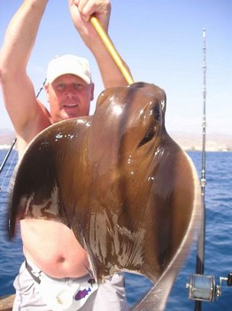 08/09 cownose ray Cavalier & Blue Marlin Sport Fishing Gran Canaria