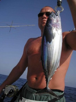 09/09 skipjack tonfisk Cavalier & Blue Marlin Sport Fishing Gran Canaria