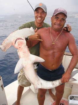 29/09 hammerhead shark Cavalier & Blue Marlin Sport Fishing Gran Canaria