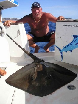08/10 common stingray Cavalier & Blue Marlin Sport Fishing Gran Canaria