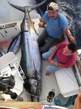 09/10 blue marlin Cavalier & Blue Marlin Sport Fishing Gran Canaria