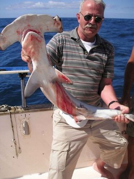 15/10 hammerhead shark Cavalier & Blue Marlin Sport Fishing Gran Canaria