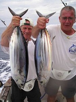 13/11 skipjack tuna Cavalier & Blue Marlin Sport Fishing Gran Canaria