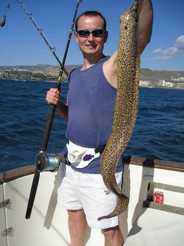 21/11 tiger moray Cavalier & Blue Marlin Sport Fishing Gran Canaria