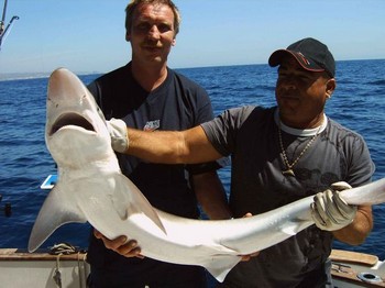 17/03 tiburón azul Pesca Deportiva Cavalier & Blue Marlin Gran Canaria