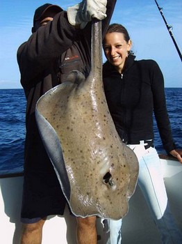 05/04 roughtail stingray Cavalier & Blue Marlin Sport Fishing Gran Canaria