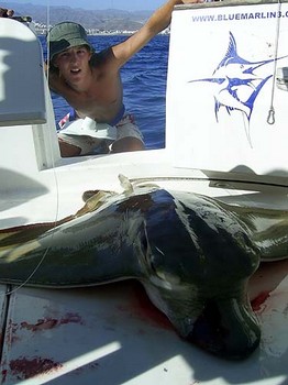 04/07 duckbill ray Cavalier & Blue Marlin Sport Fishing Gran Canaria