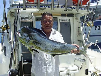08/07 dorado Cavalier & Blue Marlin Sport Fishing Gran Canaria