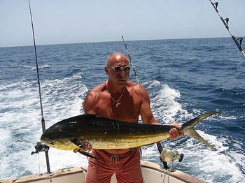 12/07 dorado Cavalier & Blue Marlin Sport Fishing Gran Canaria