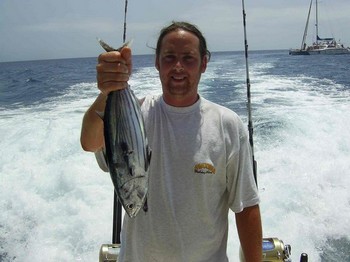 11/08 skipjack tuna Cavalier & Blue Marlin Sport Fishing Gran Canaria