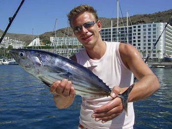 24/09 skipjack tonfisk Cavalier & Blue Marlin Sport Fishing Gran Canaria