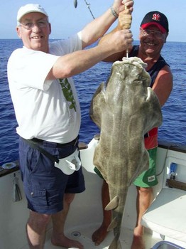 12/10 angel shark Cavalier & Blue Marlin Sport Fishing Gran Canaria