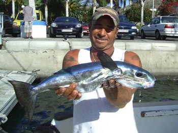 05/11 blue pufferfish Cavalier & Blue Marlin Sport Fishing Gran Canaria
