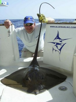 10/11 common stingray Cavalier & Blue Marlin Sport Fishing Gran Canaria