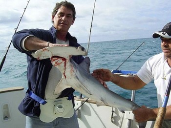 12/01 hammerhead shark Cavalier & Blue Marlin Sport Fishing Gran Canaria