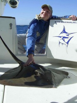 07/02 common stingray Cavalier & Blue Marlin Sport Fishing Gran Canaria