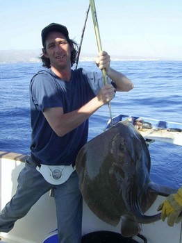 25/05 common stingray Cavalier & Blue Marlin Sport Fishing Gran Canaria
