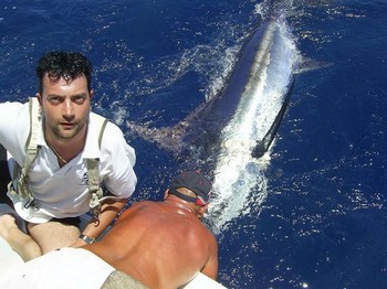 02/06 blue marlin Cavalier & Blue Marlin Sport Fishing Gran Canaria