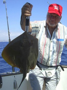 12/08 common stingray Cavalier & Blue Marlin Sport Fishing Gran Canaria