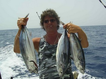 15/08 skipjack tuna Cavalier & Blue Marlin Sport Fishing Gran Canaria