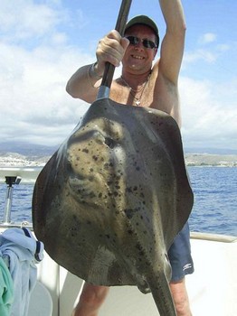 24/09 roughtail stingray Cavalier & Blue Marlin Sport Fishing Gran Canaria